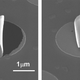 Illustration for article titled Scientists Can Now Make Nanoparticle Sheets That Curl Right Up